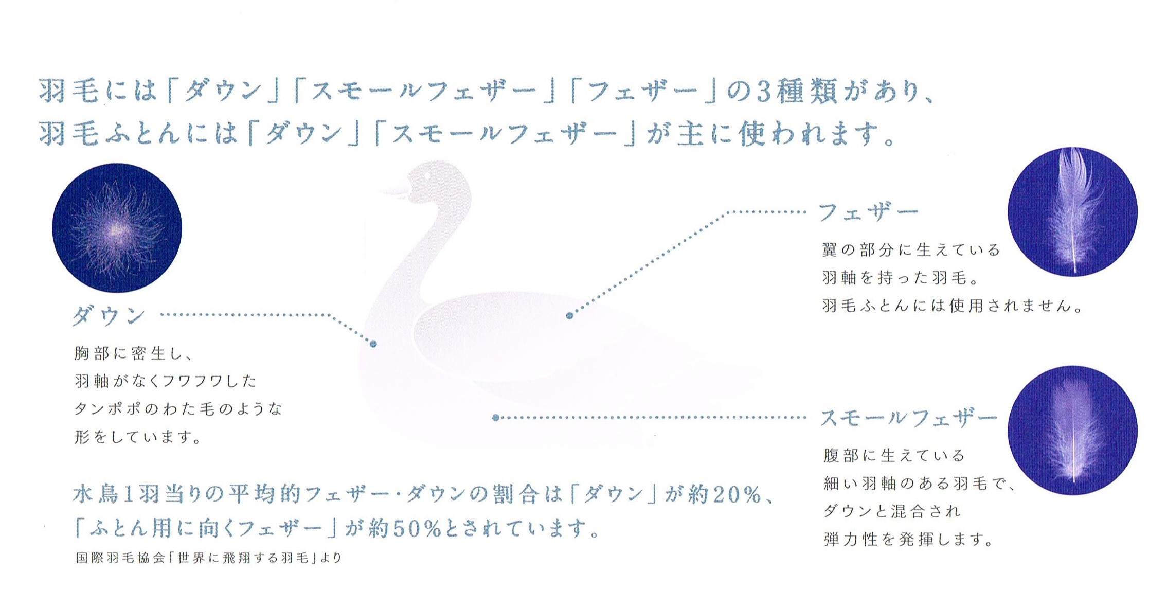 東京西川の羽毛布団 1【わたや館】