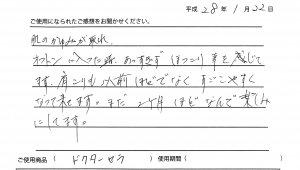 ドクターセラ　温熱敷き布団　温熱電位治療器　